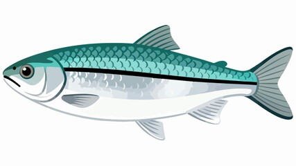 Fish illustration vector diagram