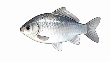 Fish illustration vector diagram