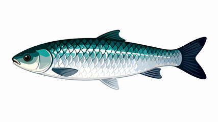 Fish illustration vector diagram
