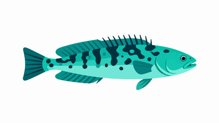 Fish illustration vector diagram