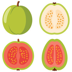 Tropical Guava Fruit Set Illustration Featuring Whole and Halved Guavas with Pink and White Flesh Ideal for Culinary Design Projects