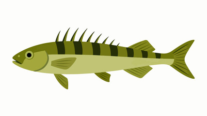 Fish illustration vector diagram