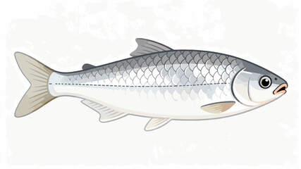 Fish illustration vector diagram