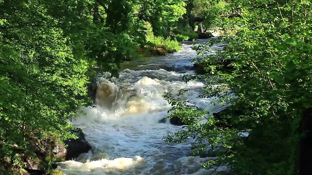 a video of the Deshutes river rapids in Olympia, Wahington State
