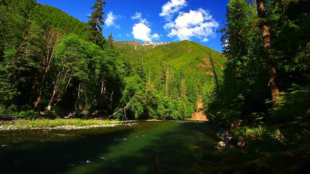 a video of the Skokomish river in Olympic National Park Washington State