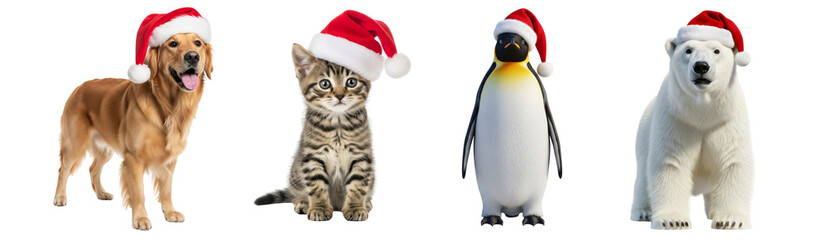 Set of animals(cat, dog, polar beer and penguin) wearing santa hat isolated on white