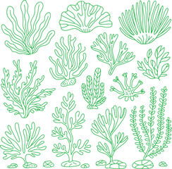 Hand-drawn green outline collection of various marine seaweed © ummehabiba8715