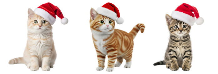 Set of cute cats wearing santa hat isolated on white