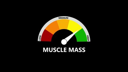 Muscle mass meter decreasing from normal to low level, ideal for concepts related to low muscle mass, muscle loss and fitness animation.