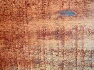 Obraz premium Decaying Tree Stump with Fibrous Texture in Forest