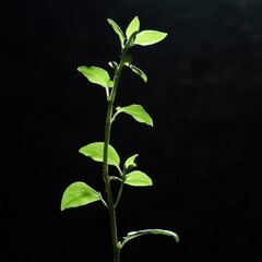 Renewing life a young plant's journey in nature close-up photography lush environment natural growth