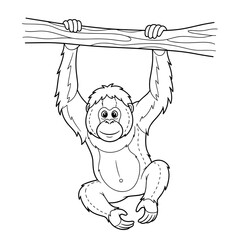 Smiling cartoon orangutan hanging from a branch. Black and white line art for coloring. © bima