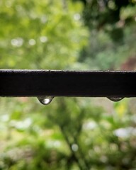 Forest View through Window with Waterdrops on Steel Grill