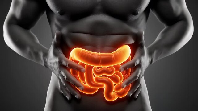 Man suffering from intolerance or food poisoning, stomach ache, abdominal pain, colon problems, gastritis, diarrhea or inflammation. Patient's hand on the belly or abdomen. 