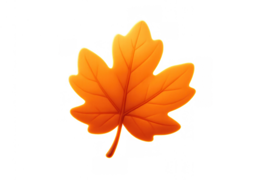 Autumn maple leaf changing color, falling season symbol, nature changing environment illustration icon