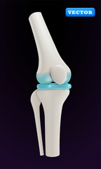 Human knee bone, 3D vector. Suitable for health and medical purposes