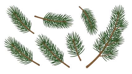 Vector illustration of green Christmas tree branches, perfect for holiday designs