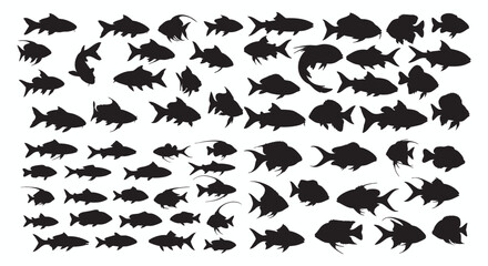 A comprehensive collection of diverse fish silhouettes. Vector illustration set of various aquatic and marine animal shapes, perfect for icons or graphic design elements, isolated on a white backgroun