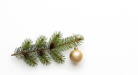 Evergreen Branch with Ornament and Cones on White