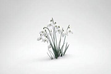 Pixelated Snowdrop Flowers In White Background