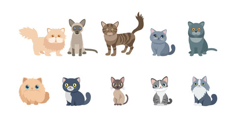 Cat Vector and Icon Collection – Cute Cats, Kitten Illustrations, Pet Cat Designs, and Animal Vector Elements