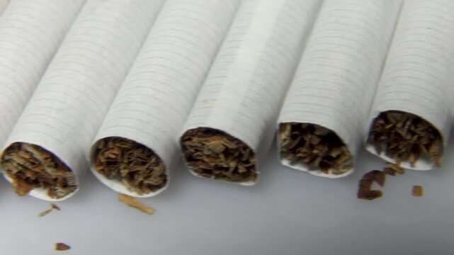 Cigarettes lying in a row, view of the part with tobacco