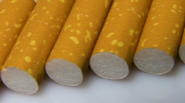 Cigarettes lying in a row, view of the part with the filter