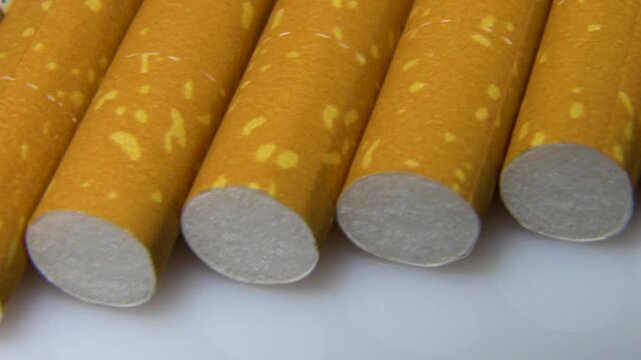 Cigarettes lying in a row, view of the part with the filter