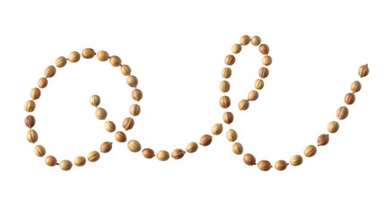 Obraz premium Coriander seeds artfully arranged in a beautiful, flowing wavy pattern, symbolizing natural beauty and a gentle, organic design on white.