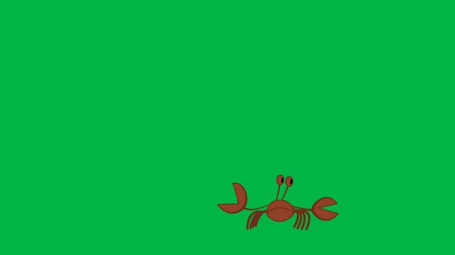 Single red ant walking alone on green screen chromakey background. Simple 2D animated cartoon animation for insect themes, nature close-ups, educational content, or minimal ant movement.