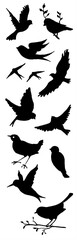 Flying and Perching Birds Silhouette Set: Black Vector Collection of Sparrow, Swallow, Dove, and Songbirds in Various Poses for Nature Design