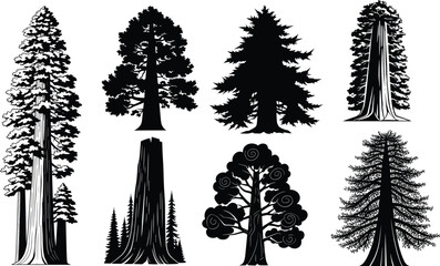 Diverse set of eight detailed tree silhouettes, including sequoias, pine trees, and a tree stump, showing various forest elements in black vector graphics. (20 words)