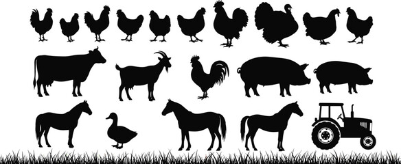 Large collection of farm animal silhouettes including chickens, cows, pigs, goats, horses, and a tractor on a grass border vector set. (20 words)