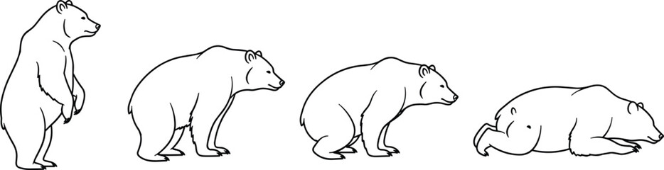 Sequential stages of a bear standing up, moving, and lying down, showing different poses in a simple black outline vector illustration. (20 words)