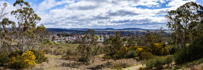 View from Glen Innes Highlands Skywalk of bushland with golden wattles on windy winter day