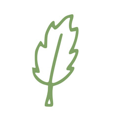green leaf in handdrawn outline