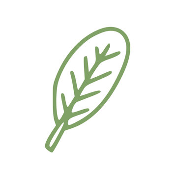 green leaf in handdrawn outline
