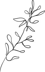 botanical line art