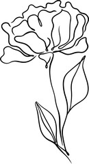 botanical line art