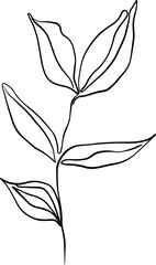 botanical line art