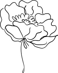 botanical line art