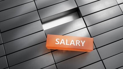 metal blocks with salary business word.close up of metal blocks,Business Concept.3D rendering.