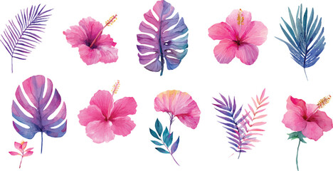 colorful vector illustration of a flower and leaf