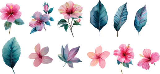 set of colorful floral elements