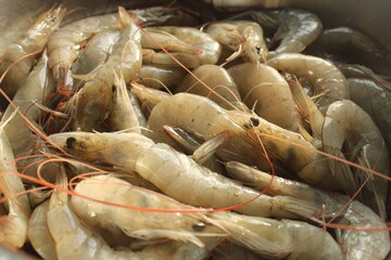 Raw and unpeeled fresh shrimp or prawns close display with selective focus, ready to cook view. Organic Seafood.
