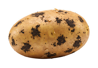 Natural speckled egg with peeling shell, organic texture