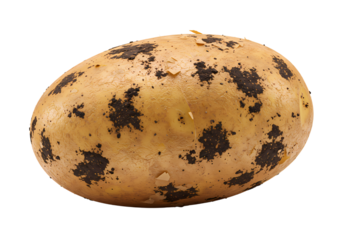 Natural speckled egg with peeling shell, organic texture