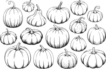 Hand drawn pumpkin vector seamless pattern for Halloween Thanksgiving design