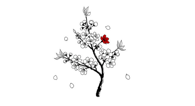 Minimalist Ink Wash Style, a single, blossoming sakura branch, featuring delicate falling sakura petals, in a monochromatic black and white scheme with red accent 