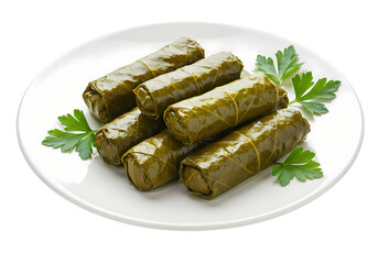 Delicious stuffed grape leaves appetizer on white plate